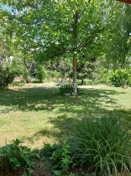 Casa 3 camere Parter Giurgiu Com Bucsani - 7