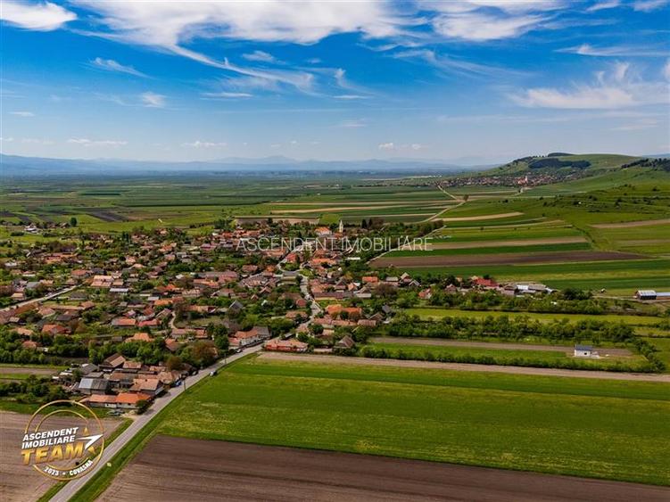 FILM! Pe 1.200mp teren, Rezidenta cu gradina inflorata,aproape de Tragu Secuiesc - 22