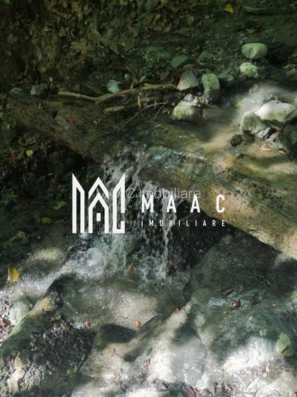 Teren Extravilan 20.000Mp I Stoenești -Vâlcea I Apă Curentă și Pădure - 5