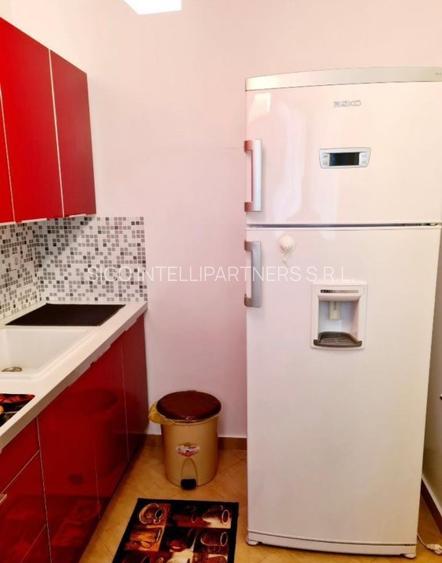 Ap Iancului - Ferdinand Obor lux 550 Euro - 6