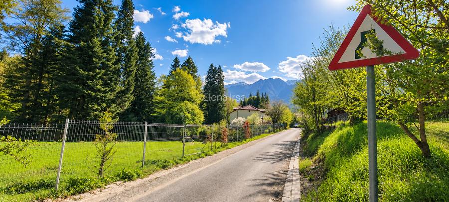 Teren intravilan la marginea pădurii, cu vedere spectaculoasă spre Bucegi  - 4