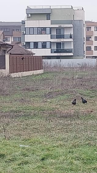 1 DECEMBRIE, GURA SIRIULUI- vanzare teren 500mp sau1000mp