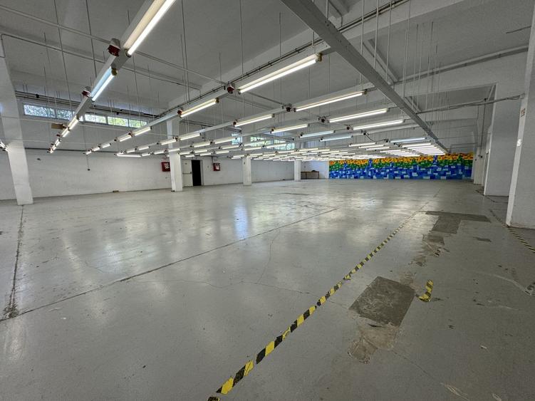 Hala productie P+1 si apartament de serviciu Navodari - c-tie beton