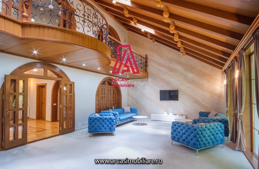 Afacere la cheie! Resedinta de lux- statiunea Paltinis! - 13