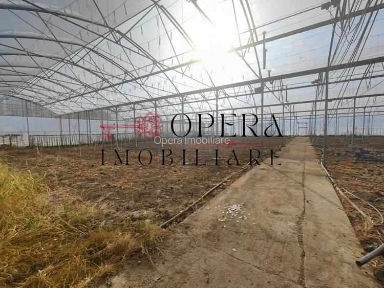 Teren intravilan 5000mp+Cladire265mp + Sera(2500mp), Rediu Aldei-Aroneanu - 4