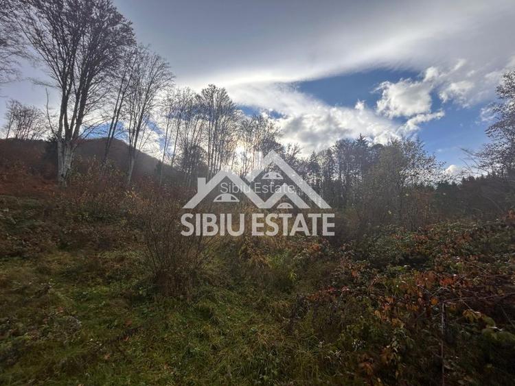 Oportunitate de investiție – Teren pentru hotel / pensiune pe Valea Avrigului - 8