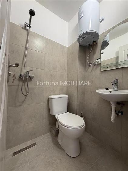 Garsoniera mica, renovata, pe str. Zizinului - 5