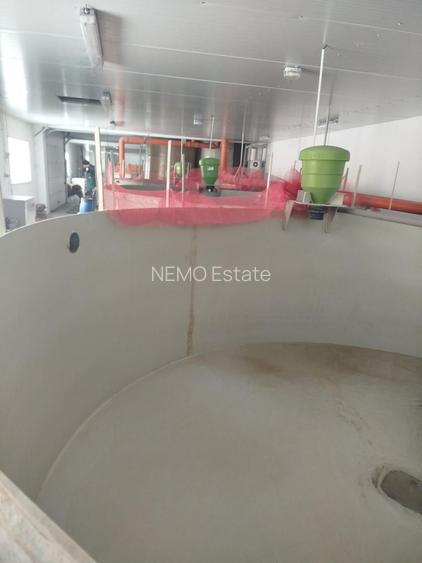 Pensiune + fermă piscicolă (sturion/caviar) | Saru Dornei/Sarisor - 28