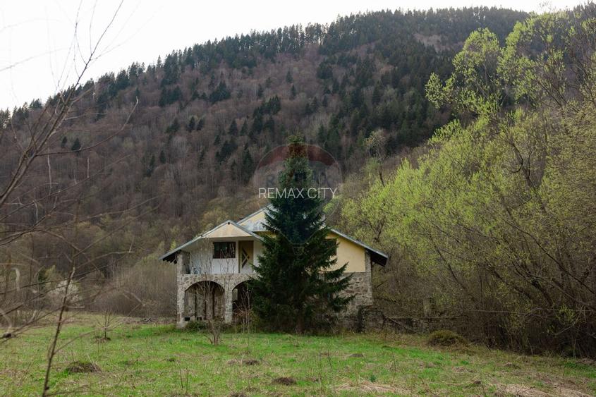 Casa si teren intravilan Tarcau - 33