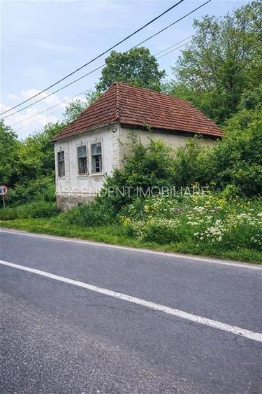 Domeniu verde autentic,  +5.000mp, front la DJ, Valcele, Brasov -- Covasna - 2