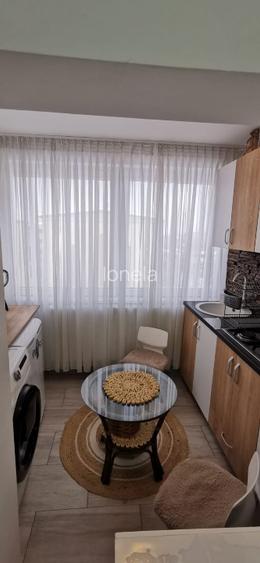 Apartament de vazare, Bocsa Română, Caras-Severin  - 14