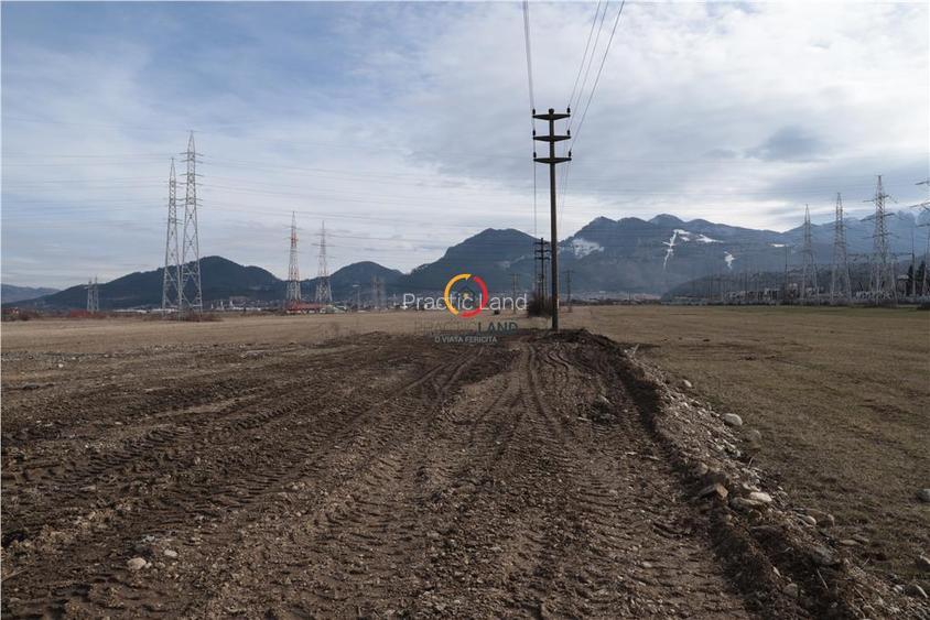 Teren  pentru constructii industriale 4.800 mp - 6