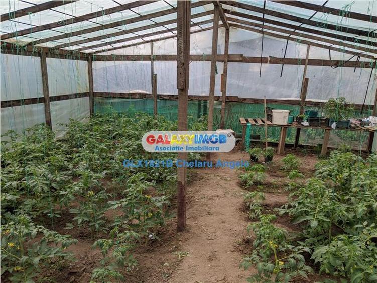 Gradistea, Ilfov, vila 4 camere, teren 2000 mp,dubla deschidere - 25