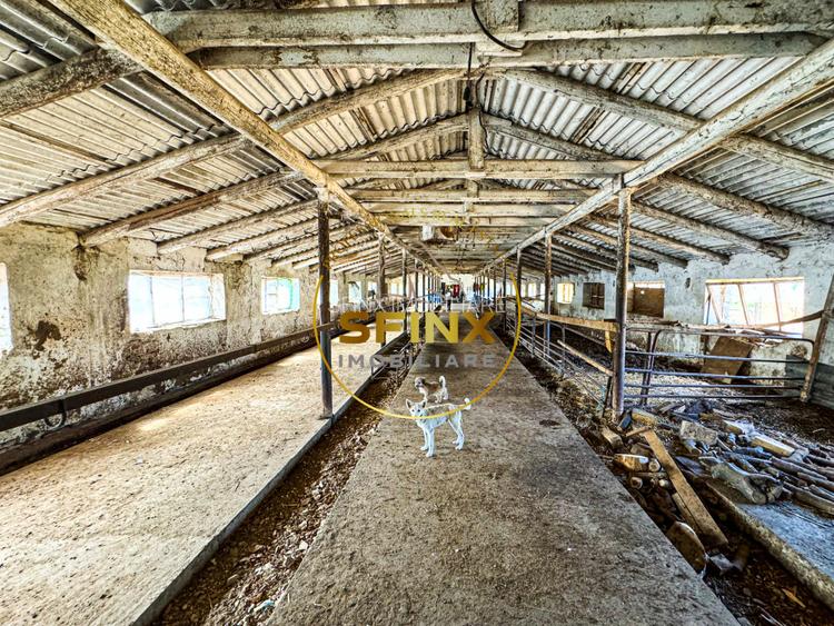 Teren intravilan cu potential de investitie 62000mp  - 4