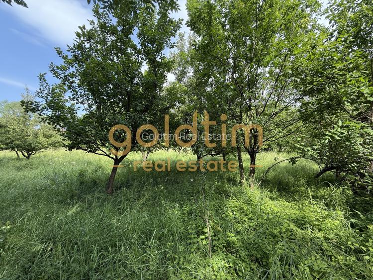 CASA IN ZONA LINISTITA/MOBILATA/UTILATA/TEREN IMPRESIONANT 5000MP/CORNU/PRAHOVA - 5