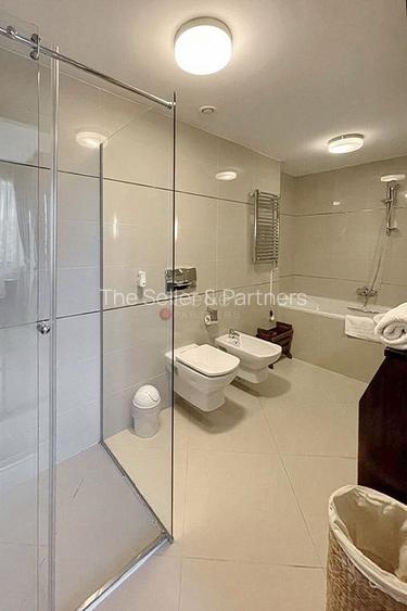 Complex Silver Mountain - 4