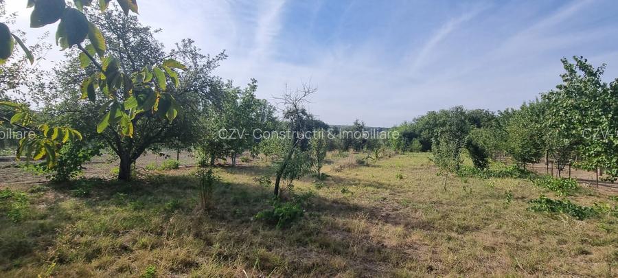 Teren 2000 mp de vânzare – Comana, deschidere la lac, aproape de Parcul Natural - 14