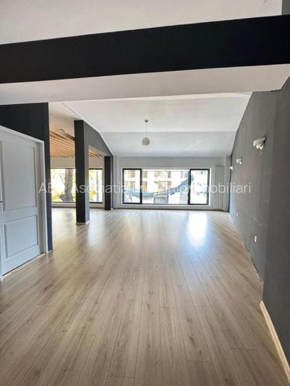 Spatiu  Stefan Cel Mare S P 1 supr 215 mp - 20