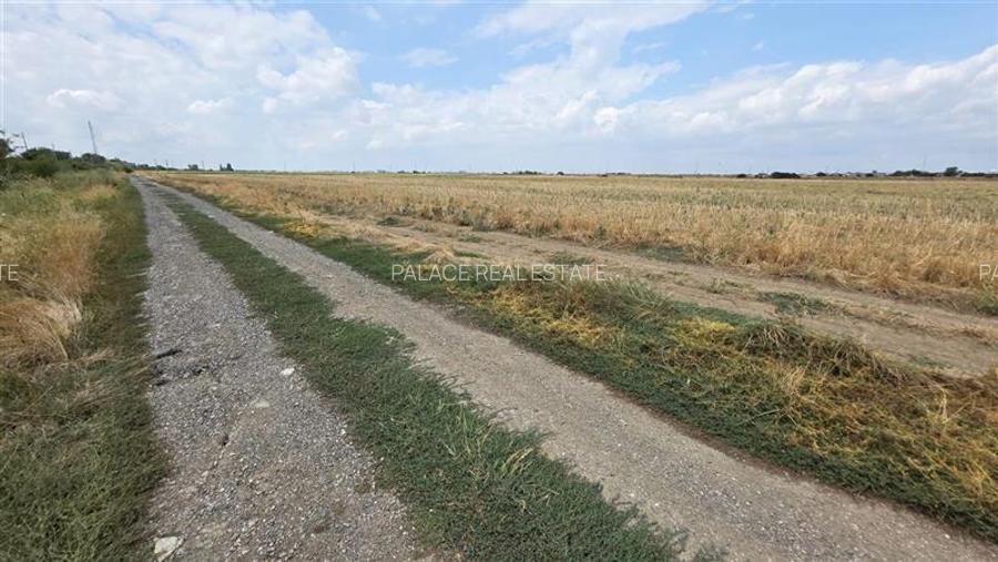 Oferta unica teren industrial 22.500 m Magurele Centura  Bucuresti - 2