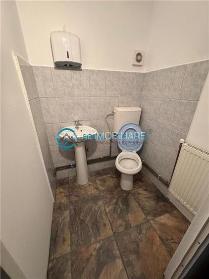 Royal Imobiliare - Inchiriere Vila zona Gheorghe Doja - 12