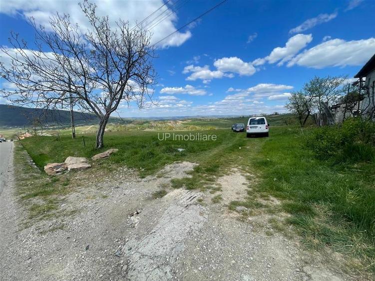 TEREN | BALNACA | 6301MP | BIHOR - 3