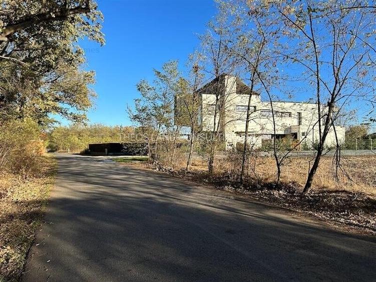 Teren intravilan 1170 mp Corbeanca Padurea Tamasi - 5