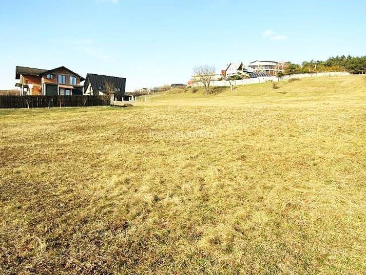 1000 MP, curs constructii langa oras! Vanzare teren intravilan in Targoviste Ale - 2