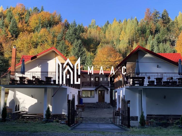 Pensiune I Poalele Munților Făgăraș I Cârțișoara, Sibiu - 2