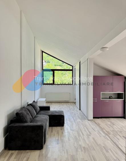 Apartament pet-friendly, Grigorescu - 3