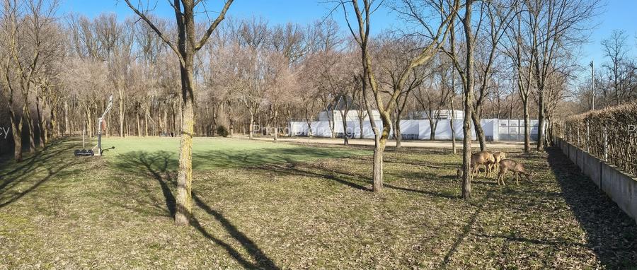 Teren de vanzare Strada Pădurii – „Un loc pe care nu îl alegi, ci te alege.” - 10