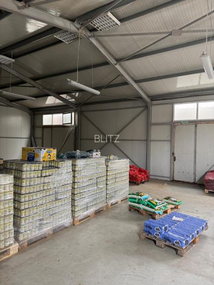 Spatiu comercial 280 mp + 700 mp curte, Filiasi  - 7