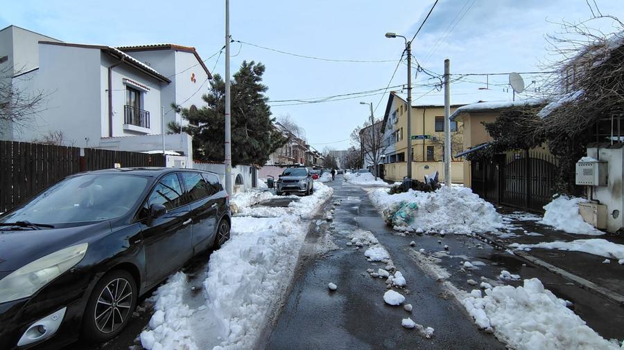 2 camere curte I Parcul Circului I Direct dezvoltator