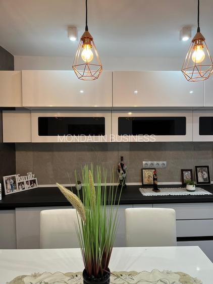 Casă 5 camere, 7700 mp teren ,Comuna Ineu. - 3