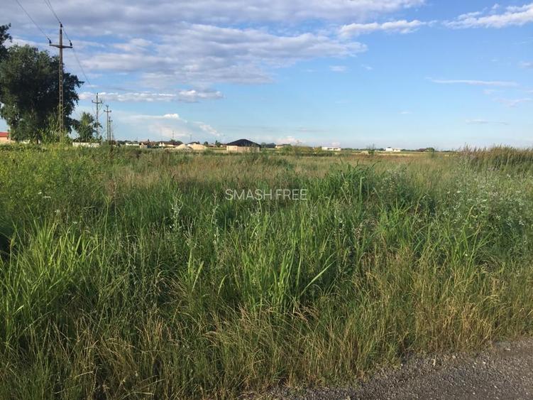 Teren intravilan in comuna Domnesti - sat Teghes - 7