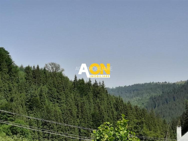 Pensiune in Muntii Apuseni 10 camere 1007 mp teren - 16