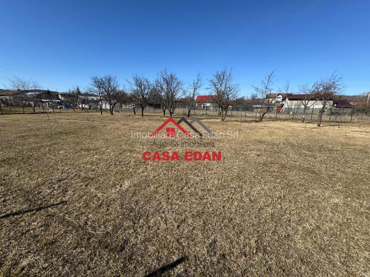 Teren 1306mp in Cornu--60.076e - 4