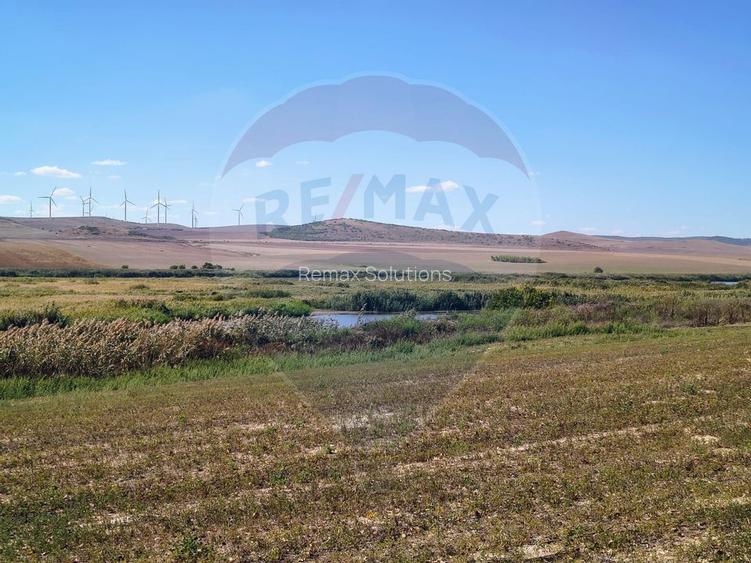 Teren extravilan de vanzare in Tulcea - 4