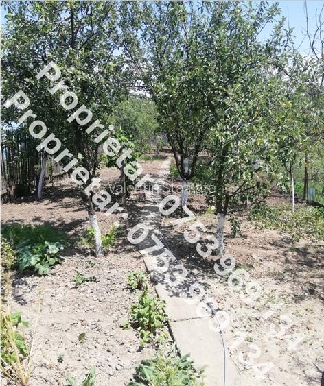 🏡 PROPRIETAR - Vand casă 3 camere în oraș cu grădină mare… la preț de apartamen - 4