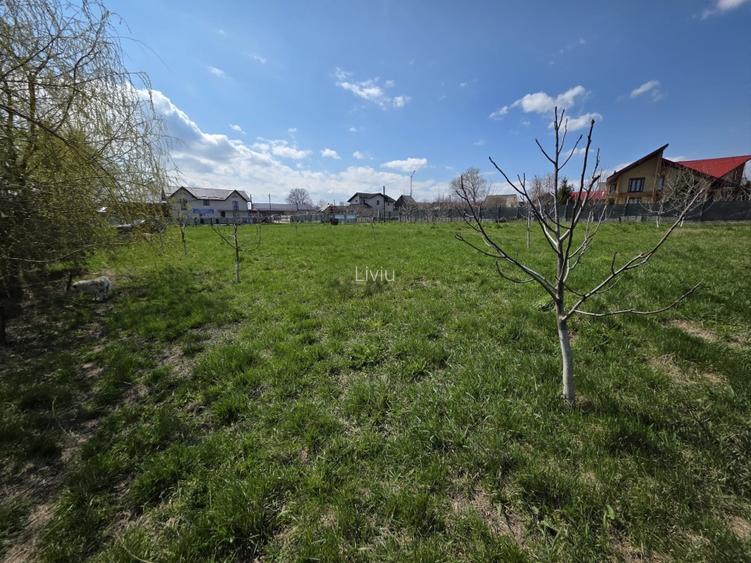 Vând teren cu iaz și livadă de nuci – Ilișești, aproape de Suceava - 15