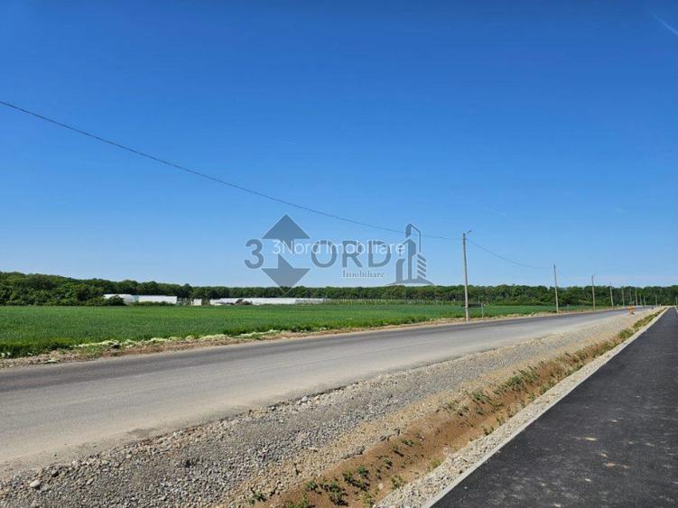 Balteni-Scrovistea, teren intravilan 17.714 mp, lângă pădure - 8