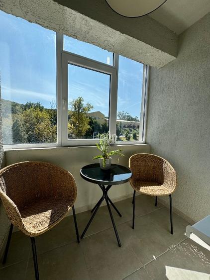 Apartament 1 camera Cornisa UMF Dr. Gheorghe Marinescu - 15