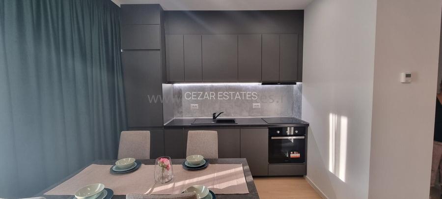 BANEASA JANDARMERIEI CLUB STEJARII THE IVY  APARTAMENT 2 CAMERE LUX - 10