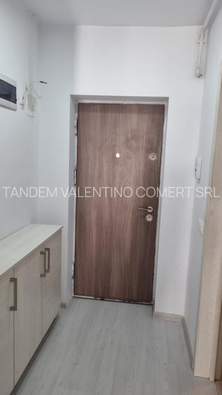 Titan , Parcul Teilor , Str Drumul Gura Siriului - 4