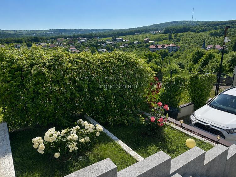 Casă 4 camere Bucium - Bârnova, Independență Energetică (Fotovoltaice), Grădină  - 2