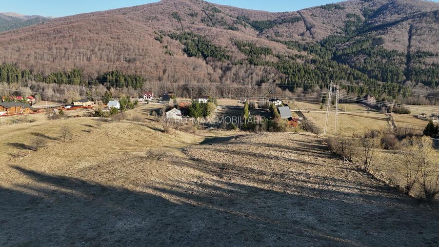 Teren intravilan la baza pădurii Valea Doftanei sat Traisteni (poduri) - 15