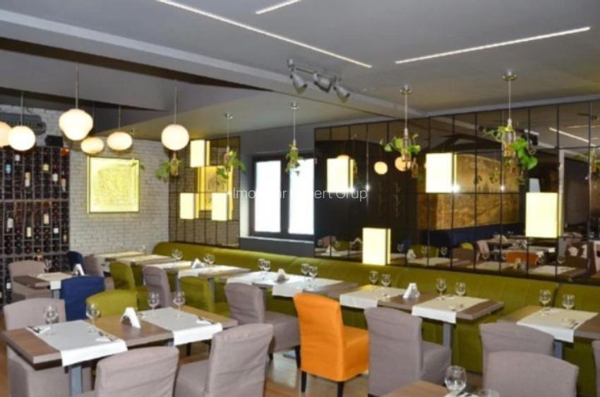 Zona Balcescu Maria Rosetti sp 310 mp P+E1+Terasa - 12