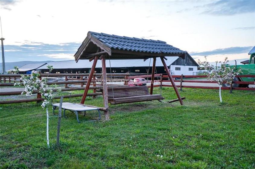 Ferma+Anexe specifice+ Constructie rezidentiala+222.000 mp domeniu - 4