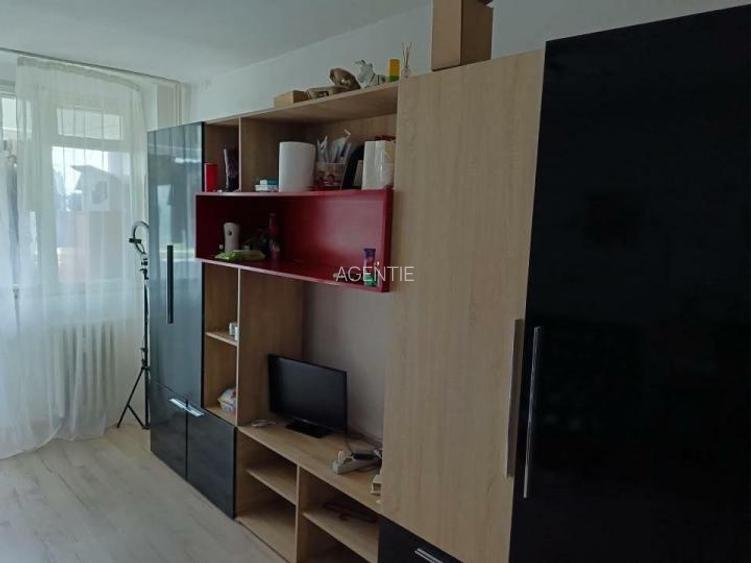 Titan piata Minis-aleea Barajul Uzului - 4