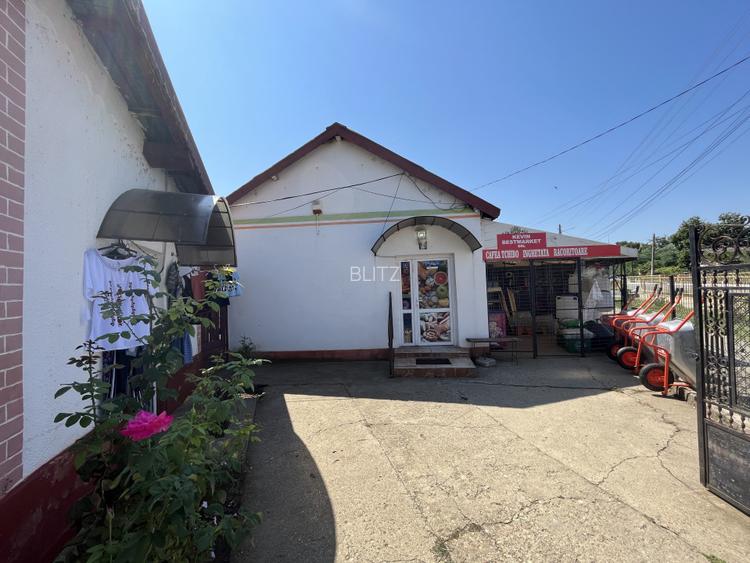 Popas La Doi Brazi - magazine, bar, terasă, casă boierească, grădină și piscină - 12