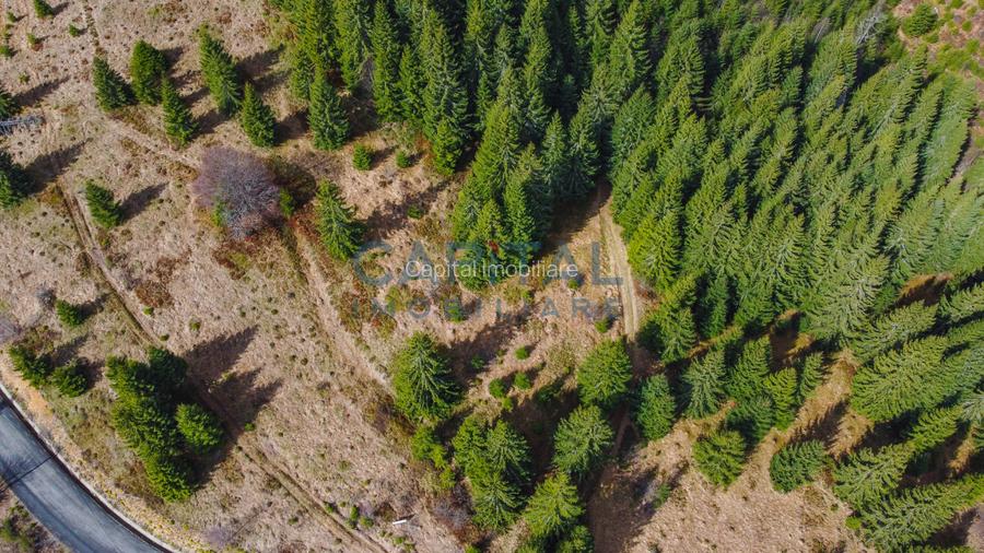 0% COMISION! Teren constructie cabana,  7600 MP, in Dealu Botii, Belis - 3